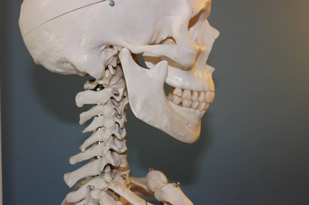 Anatomia jednej ulicy – mapa połączeń pomiędzy nosem, zatokami, gardłem i uchem